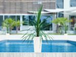 Αυτοποτιζόμενη Γλάστρα Lechuza Cubico Color White - Image 7