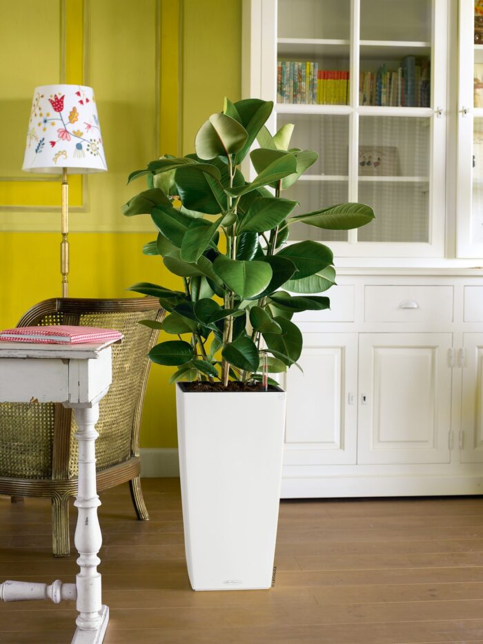 Αυτοποτιζόμενη Γλάστρα Lechuza Cubico Color White - Image 3