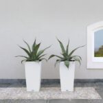 Αυτοποτιζόμενη Γλάστρα Lechuza Cubico Cottage White - Image 4