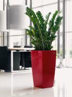 Αυτοποτιζόμενη Γλάστρα Lechuza Cubico Red High Gloss - Image 2