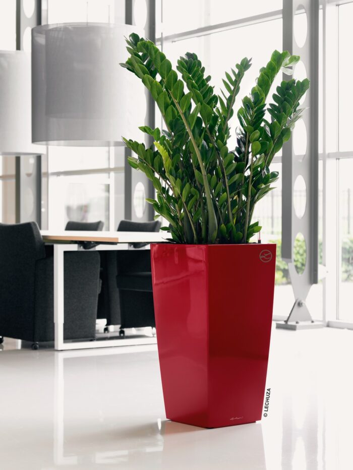 Αυτοποτιζόμενη Γλάστρα Lechuza Cubico Red High Gloss - Image 2