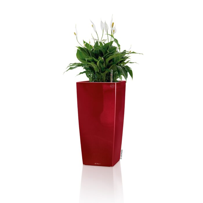 Αυτοποτιζόμενη Γλάστρα Lechuza Cubico Red High Gloss - Image 4