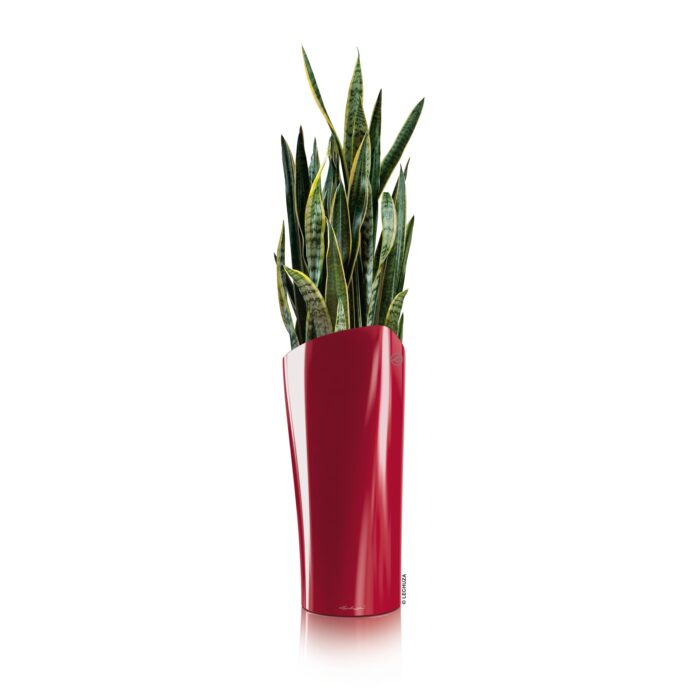 Αυτοποτιζόμενη Γλάστρα Lechuza Delta Red High Gloss - Image 3