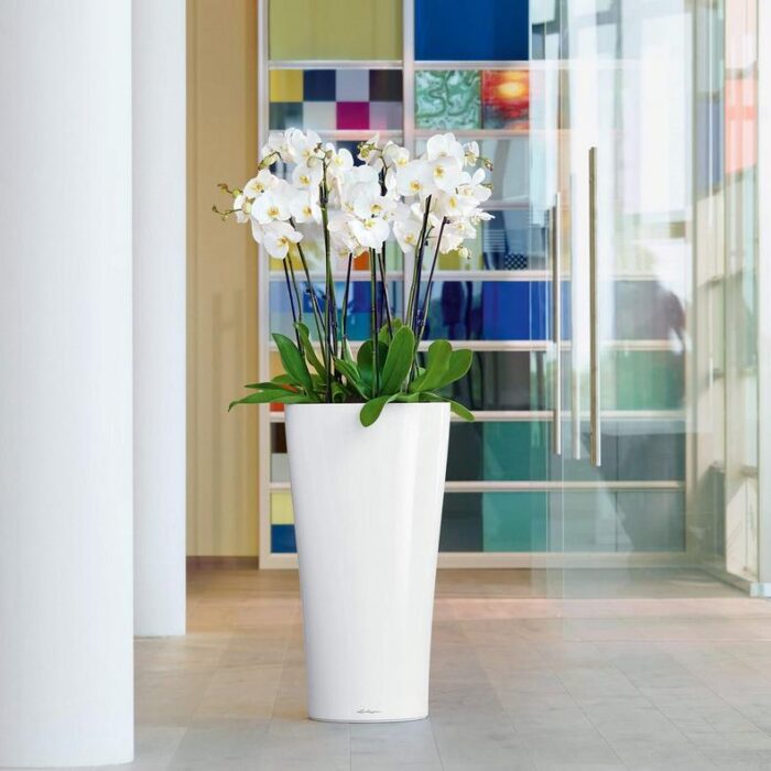 Αυτοποτιζόμενη Γλάστρα Lechuza Delta White High Gloss - Image 6