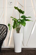 Αυτοποτιζόμενη Γλάστρα Lechuza Delta White High Gloss - Image 3