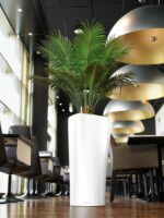 Αυτοποτιζόμενη Γλάστρα Lechuza Delta White High Gloss - Image 5