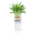Αυτοποτιζόμενη Γλάστρα Lechuza Cubico White High Gloss - Image 9