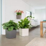 Αυτοποτιζόμενη Γλάστρα Lechuza Cube White High Gloss - Image 7