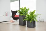 Αυτοποτιζόμενη Γλάστρα Lechuza Canto Stone High Graphite Black - Image 5