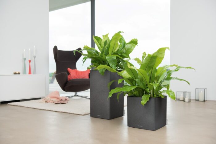 Αυτοποτιζόμενη Γλάστρα Lechuza Canto Stone High Graphite Black - Image 5