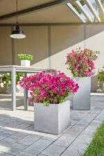 Αυτοποτιζόμενη Γλάστρα Lechuza Canto Stone High Grey - Image 21