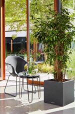 Αυτοποτιζόμενη Γλάστρα Lechuza Canto Stone Low Graphite Black - Image 2