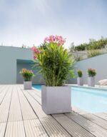 Αυτοποτιζόμενη Γλάστρα Lechuza Canto Stone Low Sand Beige - Image 13