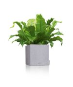Αυτοποτιζόμενη Γλάστρα Lechuza Canto Stone Low Grey - Image 7