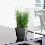 Αυτοποτιζόμενη Γλάστρα Lechuza Quadro Charcoal metallic - Image 3
