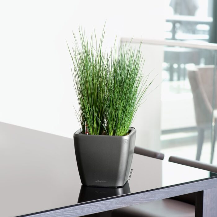 Αυτοποτιζόμενη Γλάστρα Lechuza Quadro Charcoal metallic - Image 3