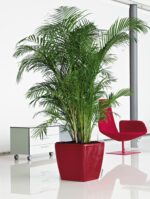 Αυτοποτιζόμενη Γλάστρα Lechuza Quadro Red High Gloss - Image 3