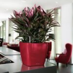 Αυτοποτιζόμενη Γλάστρα Lechuza Quadro Red High Gloss - Image 4