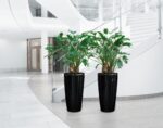 Αυτοποτιζόμενη Γλάστρα Lechuza Rondo Black High Gloss - Image 3