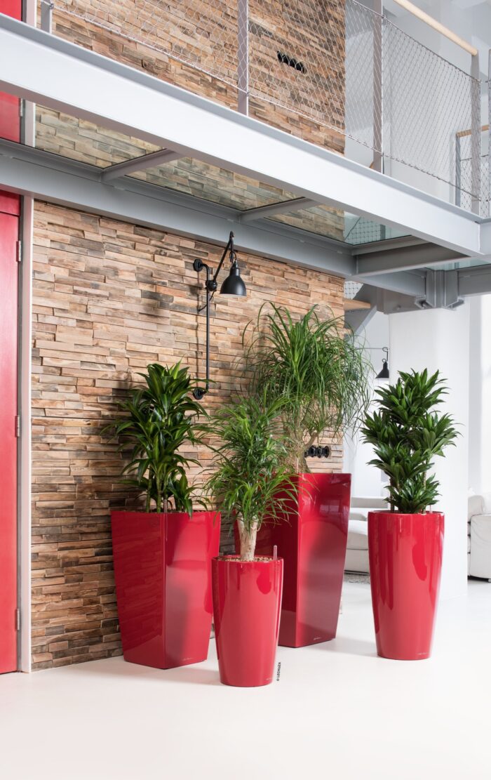 Αυτοποτιζόμενη Γλάστρα Lechuza Rondo Red High Gloss - Image 12