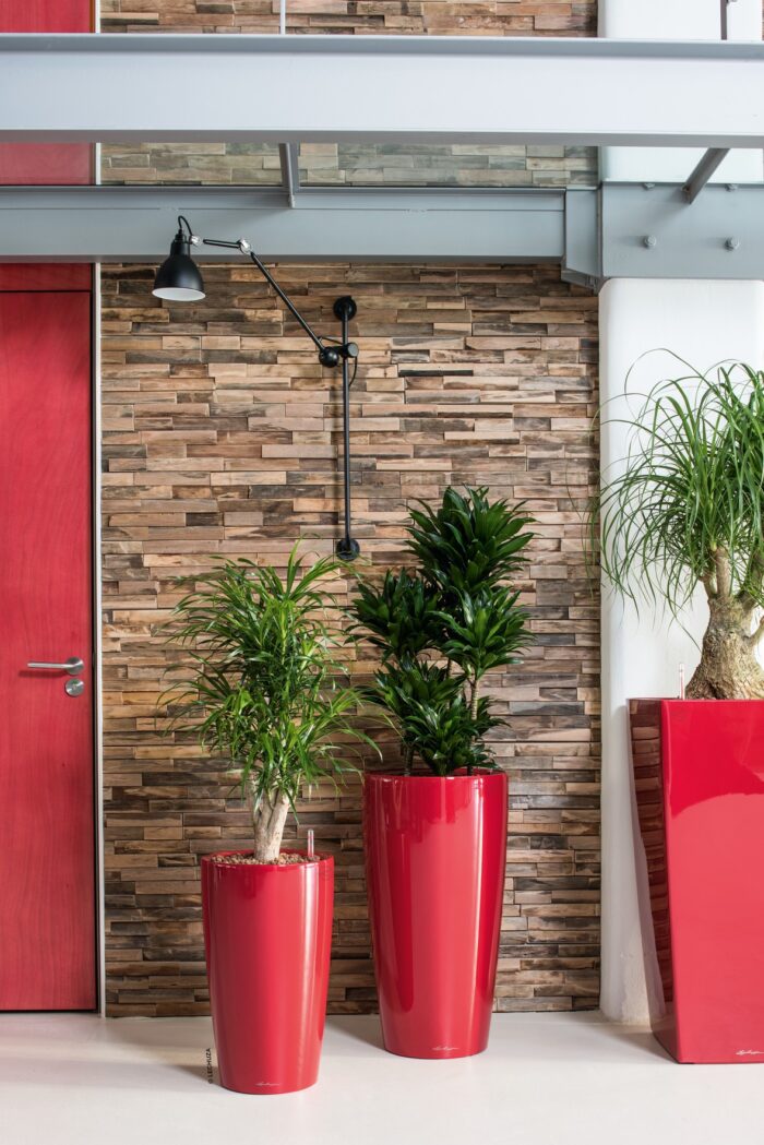 Αυτοποτιζόμενη Γλάστρα Lechuza Rondo Red High Gloss - Image 5
