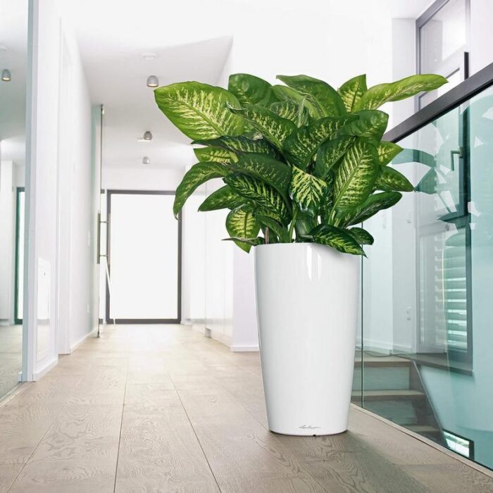 Αυτοποτιζόμενη Γλάστρα Lechuza Rondo White High Gloss - Image 2