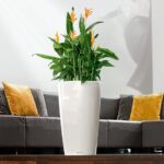 Αυτοποτιζόμενη Γλάστρα Lechuza Rondo White High Gloss - Image 37