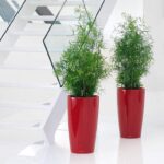 Αυτοποτιζόμενη Γλάστρα Lechuza Rondo Red High Gloss - Image 3