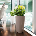 Αυτοποτιζόμενη Γλάστρα Lechuza Rondo White High Gloss - Image 18