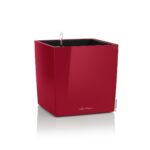 Αυτοποτιζόμενη Γλάστρα Lechuza Cube Red High Gloss