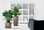 Αυτοποτιζόμενη Γλάστρα Lechuza Cube Taupe High Gloss - Image 3