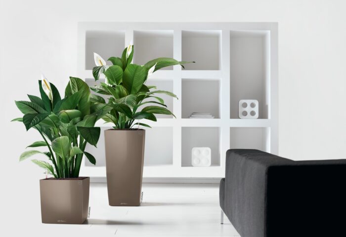 Αυτοποτιζόμενη Γλάστρα Lechuza Cube Taupe High Gloss - Image 3