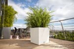 Αυτοποτιζόμενη Γλάστρα Lechuza Cottage Cube White - Image 4