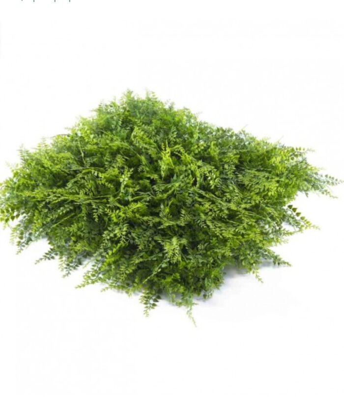 Φυλλωσιά PREMIUM για επένδυση τοίχου 50 x 50 cm ΦΤΕΡΗ - Image 1
