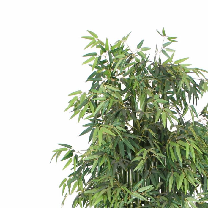 Τεχνητό Μπαμπού Tallgrass Διαχωριστικό Πράσινο 200 εκ. - Image 2