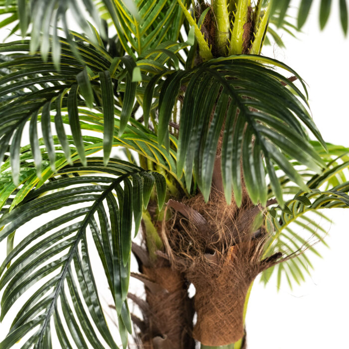 Τεχνητό Δέντρο Φοίνικας Coconut Πράσινο 200 εκ. - Image 2