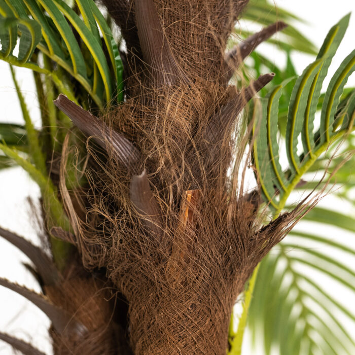 Τεχνητό Δέντρο Φοίνικας Coconut Πράσινο 200 εκ. - Image 3