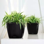 Αυτοποτιζόμενη Γλάστρα Lechuza Quadro Black High Gloss - Image 2
