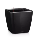 Αυτοποτιζόμενη Γλάστρα Lechuza Quadro Black High Gloss