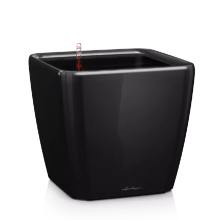 Αυτοποτιζόμενη Γλάστρα Lechuza Quadro Black High Gloss
