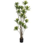 Bamboo 180cm