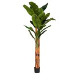 Μπανανιά 275cm UV & fire protection
