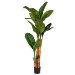 Μπανανιά 180cm UV & fire protection