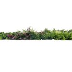 Φυλλωσιά PREMIUM για επένδυση τοίχου 100 x 100 cm ΑΝΕΜΩΝΗ - Image 4